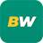 Logotipo de BetWinner
